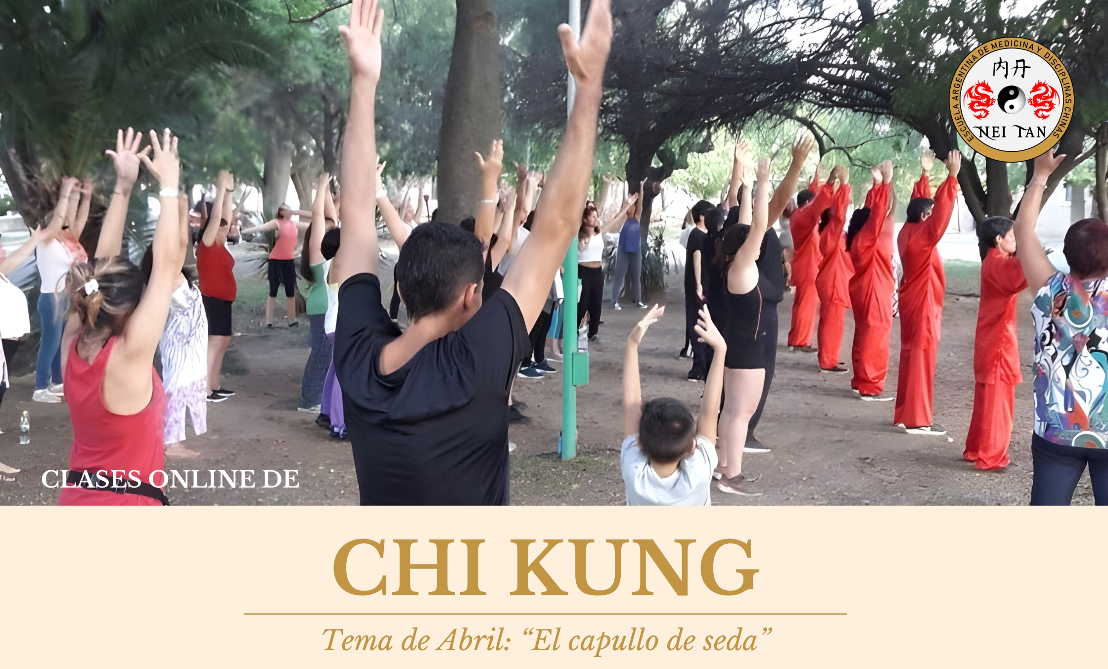 CLASES TEMÁTICAS ON LINE DE CHI KUNG (Qi Gong) TERAPÉUTICO - Imagen 3