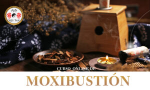 CURSO ON LINE DE MOXIBUSTIÓN