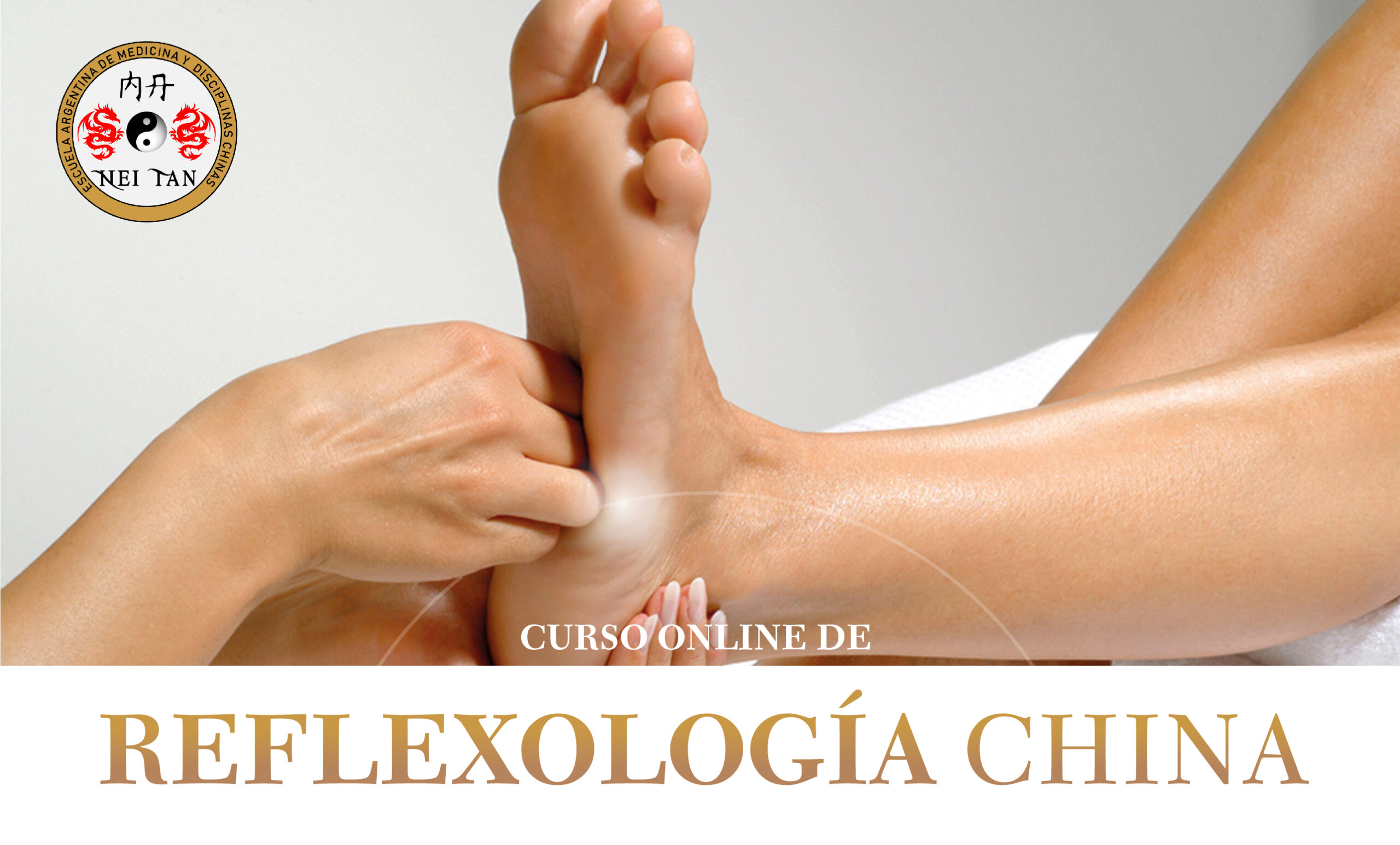 CURSO ON LINE DE REFLEXOLOGĂA CHINA