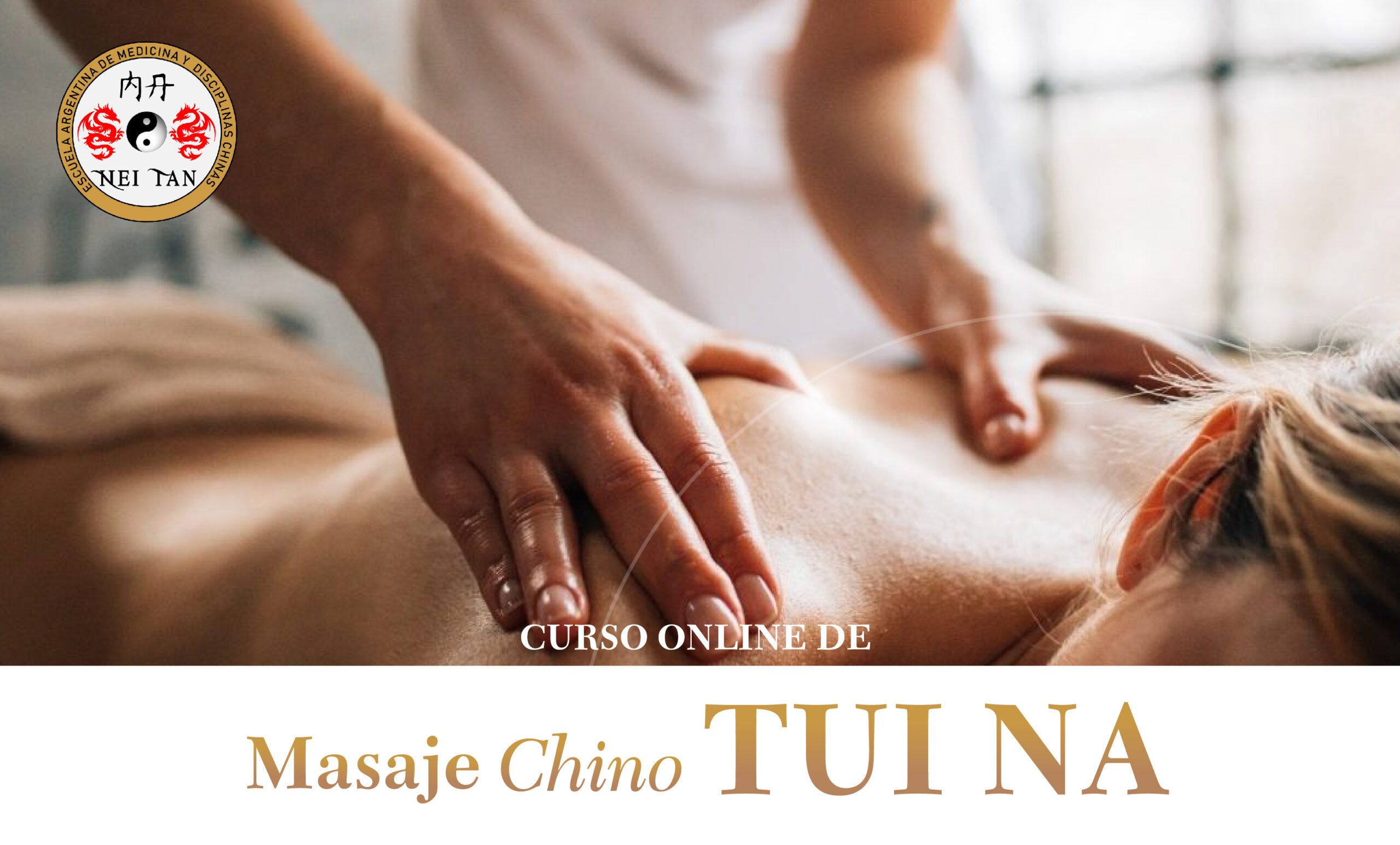 CURSO ON LINE DE TUI NA (Masaje Chino)