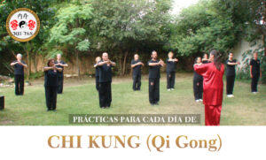 PRÁCTICAS DE CHI KUNG (QI GONG) PARA CADA DÍA