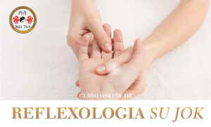 CURSO ON LINE DE REFLEXOLOGÍA SU JOK DE MANO