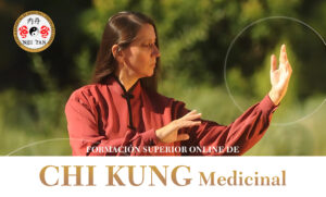FORMACIÓN SUPERIOR EN CHI KUNG MEDICINAL