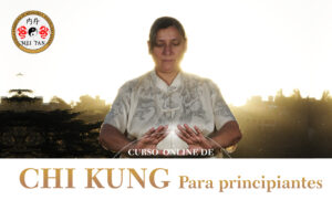 CURSO ON LINE DE CHI KUNG PARA PRINCIPIANTES