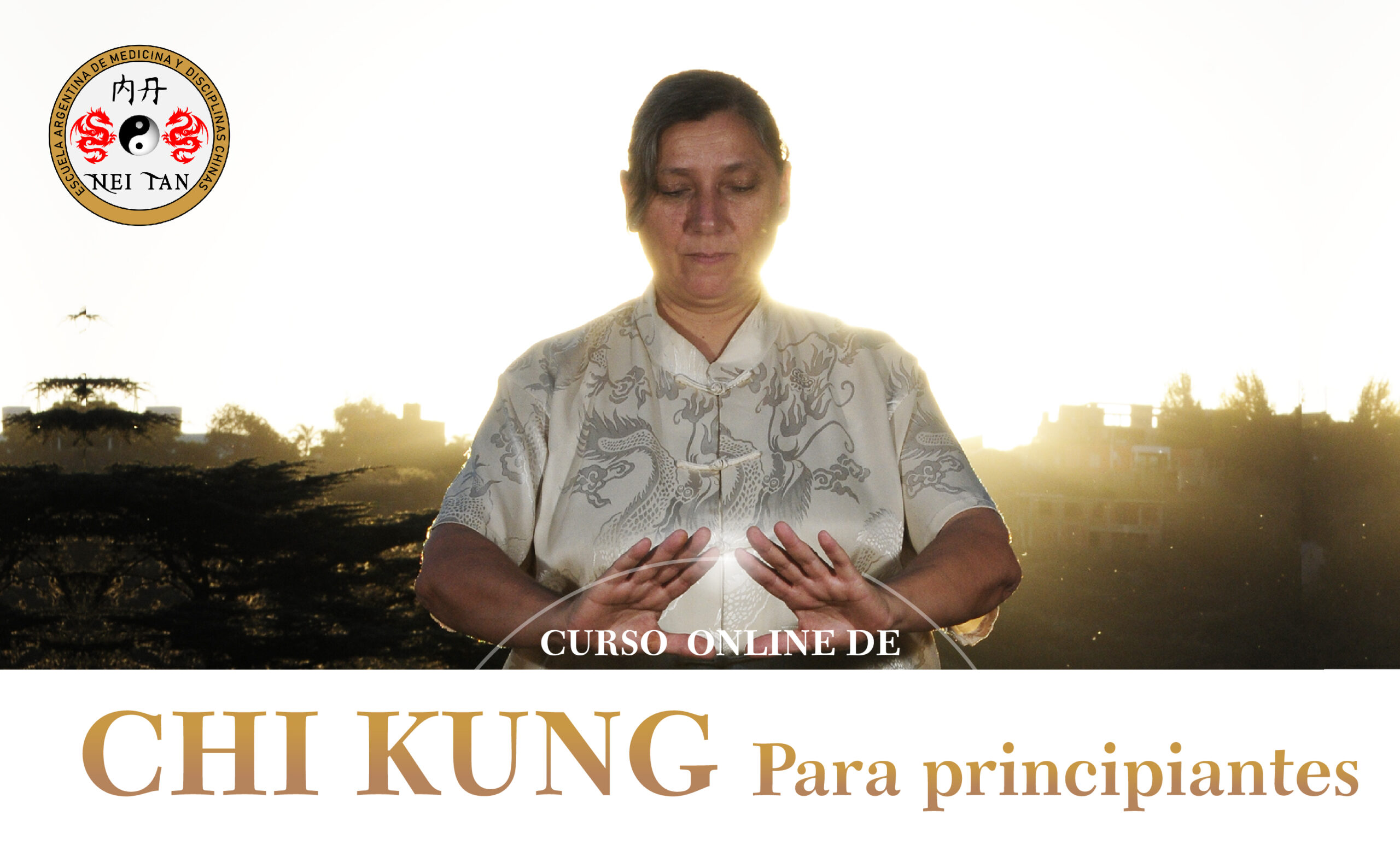 CURSO ON LINE DE CHI KUNG PARA PRINCIPIANTES