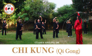 CLASES TEMÁTICAS ON LINE DE CHI KUNG (Qi Gong) TERAPÉUTICO