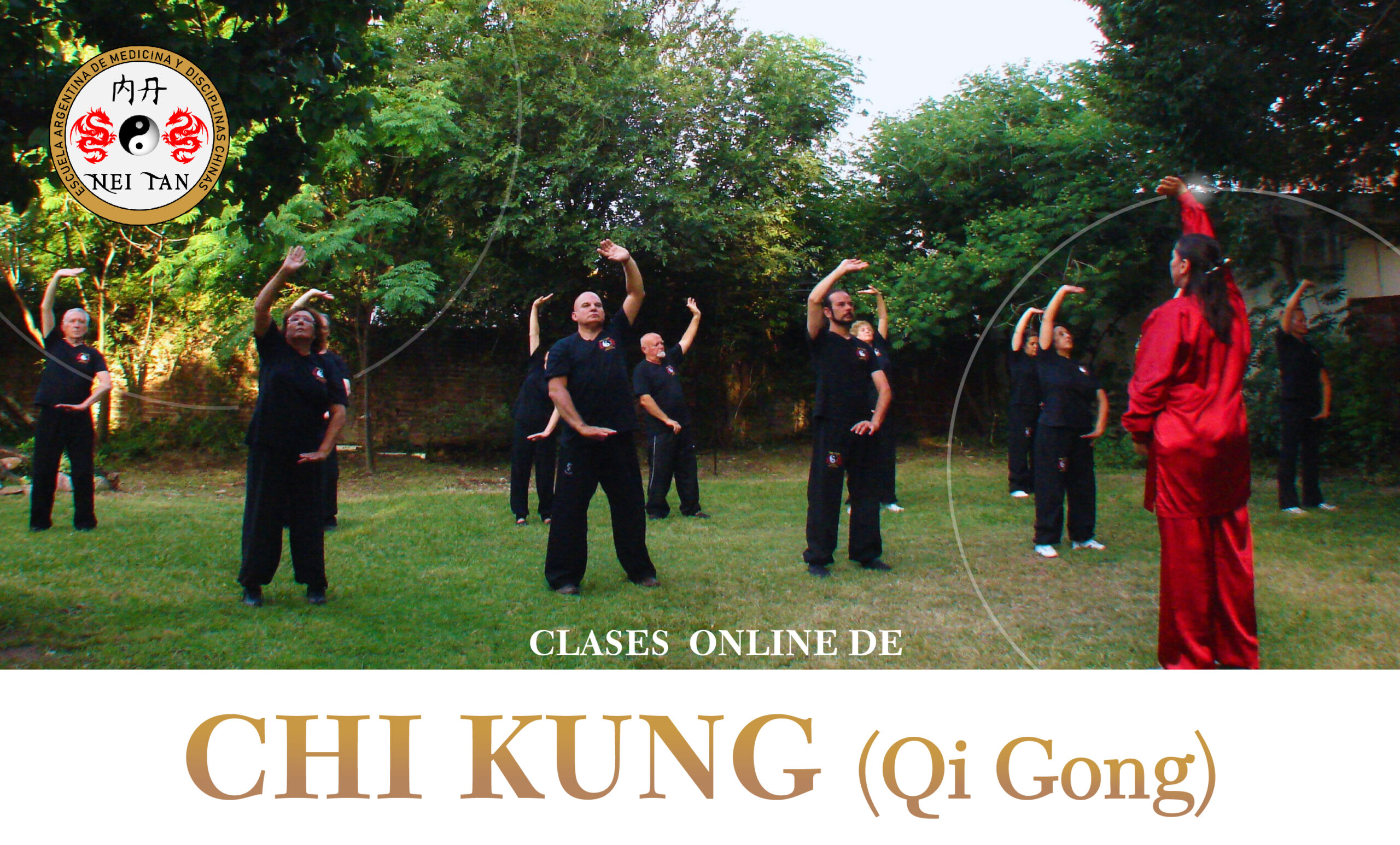 CLASES TEMÁTICAS ON LINE DE CHI KUNG (Qi Gong) TERAPÉUTICO