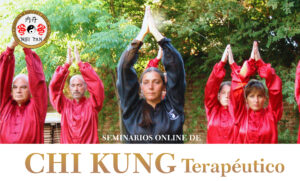 SEMINARIOS DE CHI KUNG TERAPÉUTICO ON LINE