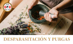 CURSO ON LINE DE DESPARASITACIÓN Y PURGAS
