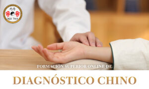 FORMACIÓN ON LINE DE DIAGNÓSTICO CHINO