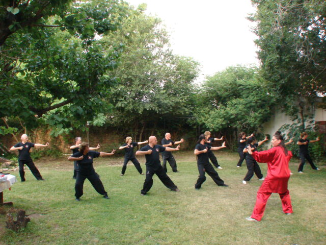DSC04853 (2)