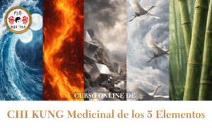 CHI KUNG MEDICINAL DE LOS 5 ELEMENTOS