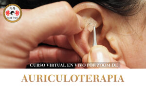 Auriculoterapia - Curso EN VIVO